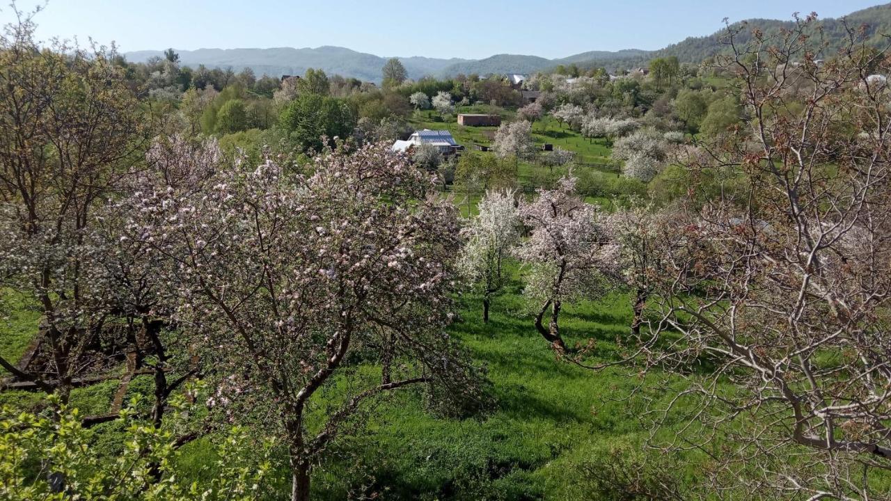Bat'Kivska Hata Stari Kuty Exterior foto